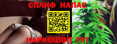 молекула духа Лесосибирск