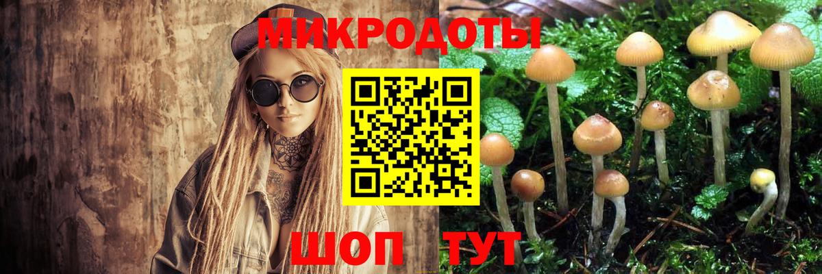 Чернушка  Псилоцибиновые грибы мицелий  Вход с VPN 
